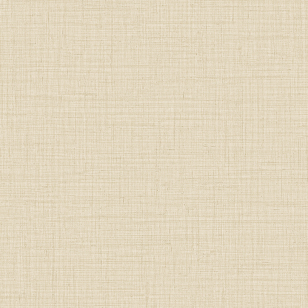 Alessandro Allori Giorgio RGI 1010-5