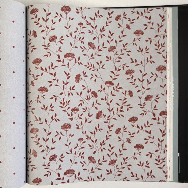 Andrea Rossi Spectrum Box 54456-6