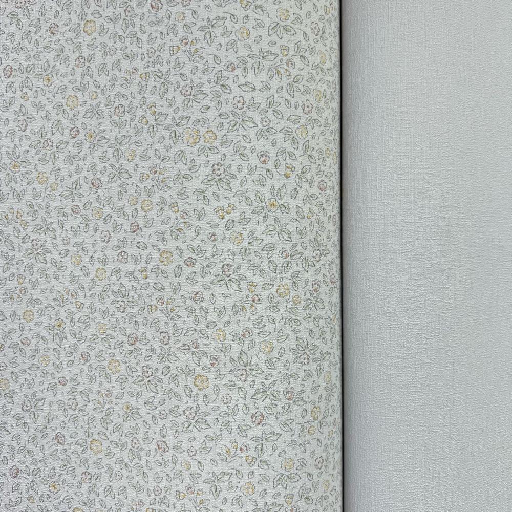 Andrea Rossi Stromboli 54340-4