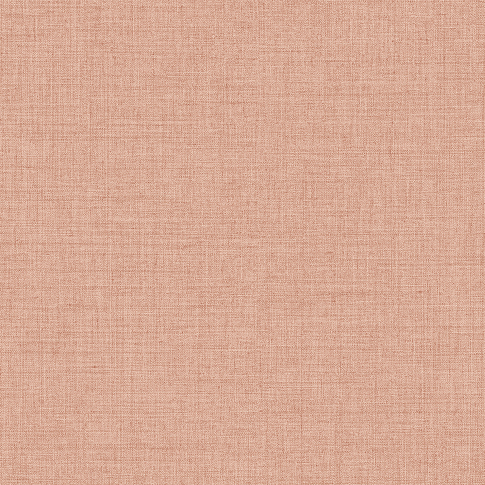 Alessandro Allori Giorgio RGI 1004-15