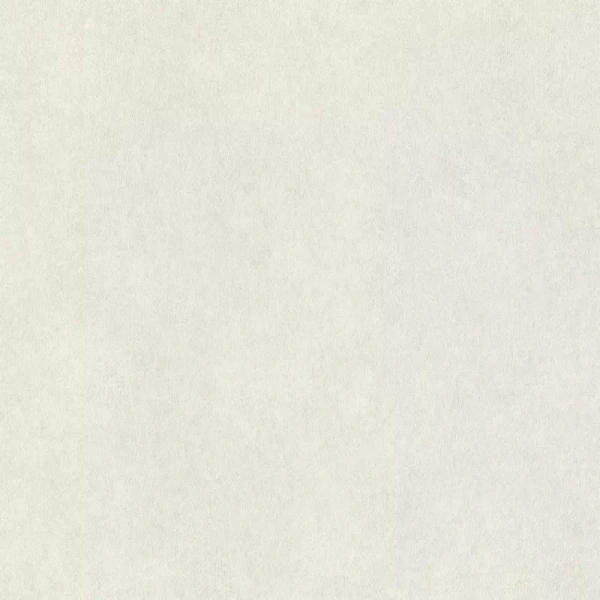 Rasch Wall Textures XL957303