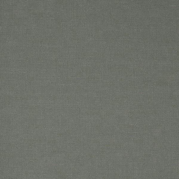 Andrea Rossi Berggi 54452-8