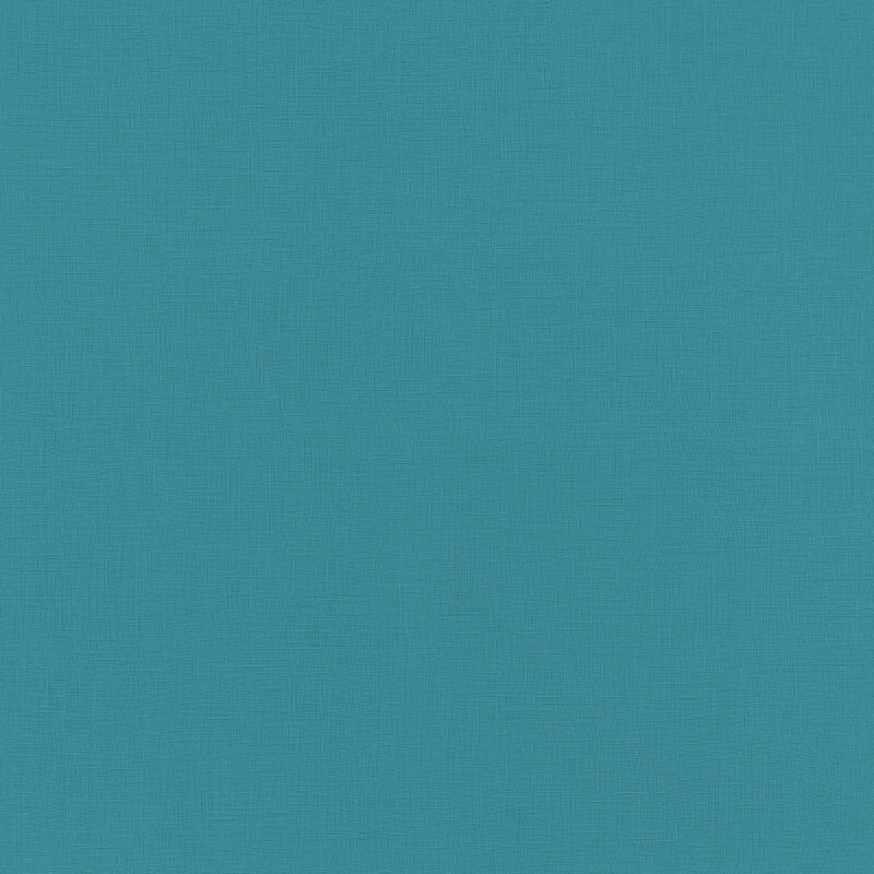 Salsa 537925